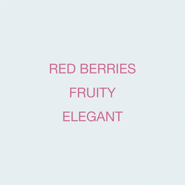 Koppi - Finca La Fuente, Washed Pink Bourbon | Colombia
