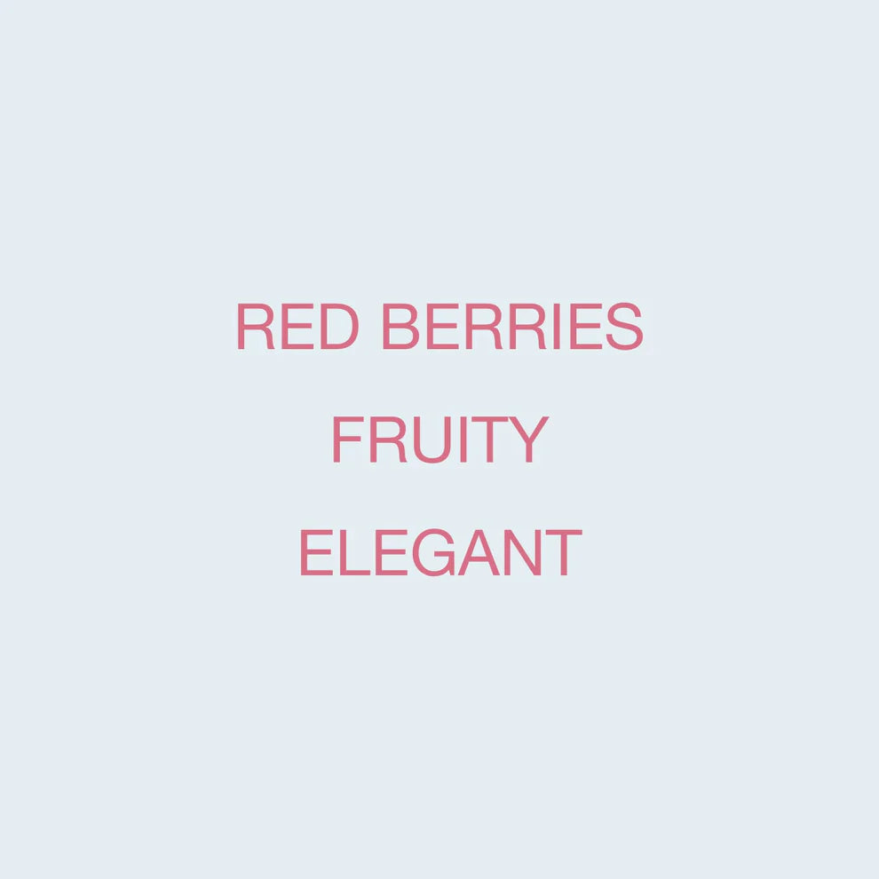 Koppi - Finca La Fuente, Variedad Colombia | Colombia