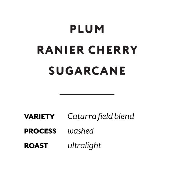 H&S Coffee Roasters - La Victoria, Washed [Ultralight] | Colombia - Sigma Coffee UK