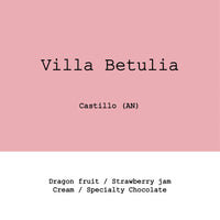 Goût & Co - Colombia Villa Betulia Castillo 45h Aerobic Slow Dry Natural
