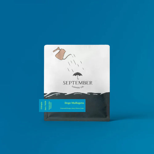 September - Dege Mullugeta - Anaerobic Natural