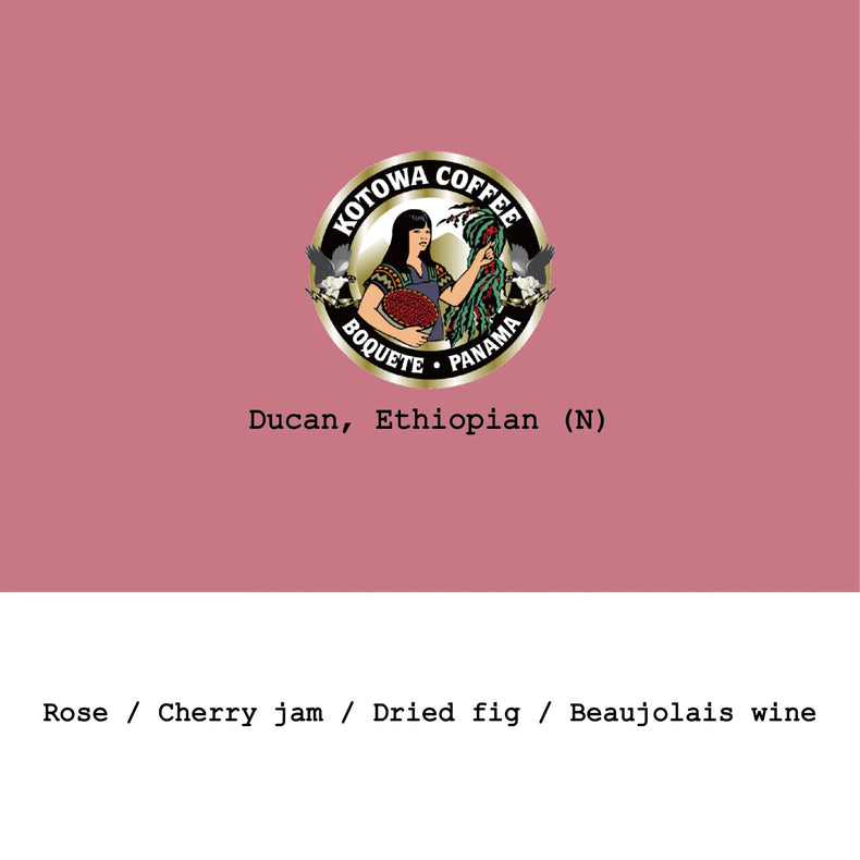 Goût & Co - Kotowa Duncan Ethiopian Heirloom Natural | Panama