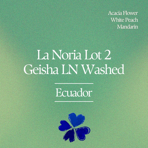 Klover - La Noria Lot 2 Geisha LN Washed | Ecuador