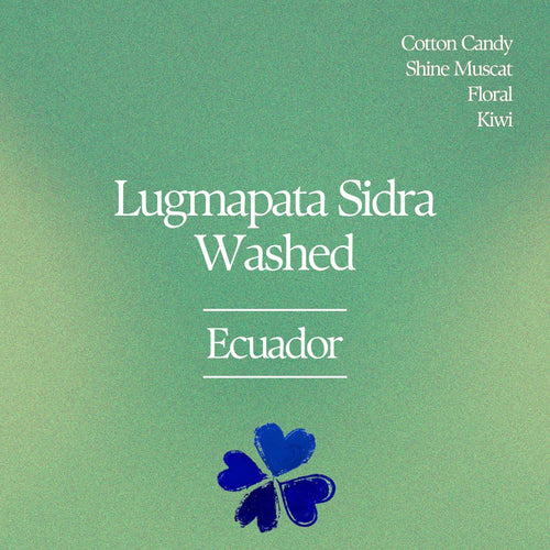Klover - Lugmapata Sidra Washed | Ecuador