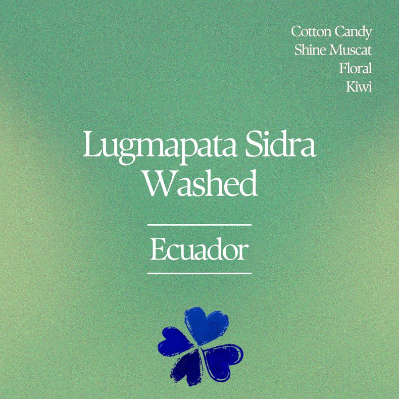 Klover - Lugmapata Sidra Washed | Ecuador