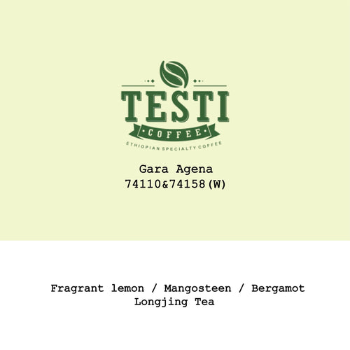Goût & Co - 2026 New Crop Ethiopia Gara Agena 74110&74158 Washed
