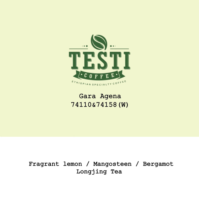 Goût & Co - 2026 New Crop Ethiopia Gara Agena 74110&74158 Washed