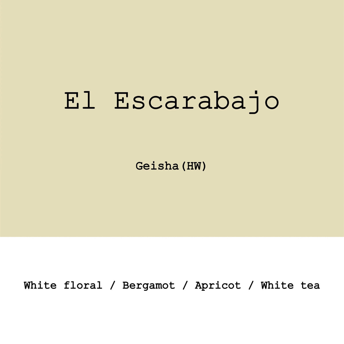 Goût & Co - El Escarabajo Geisha Hybrid Washed | Colombia