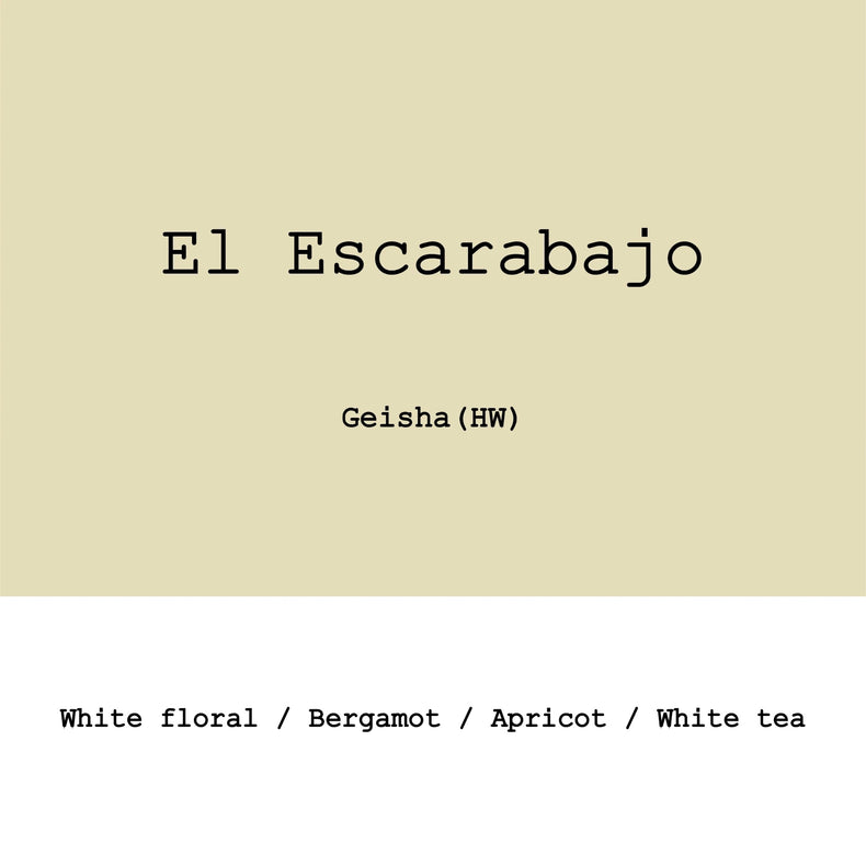 Goût & Co - El Escarabajo Geisha Hybrid Washed | Colombia