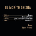 Apollon's Gold - El Morito Geisha | Peru - Sigma Coffee UK