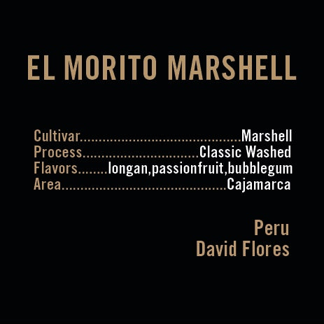 Apollon's Gold - El Morito Marshell | Peru