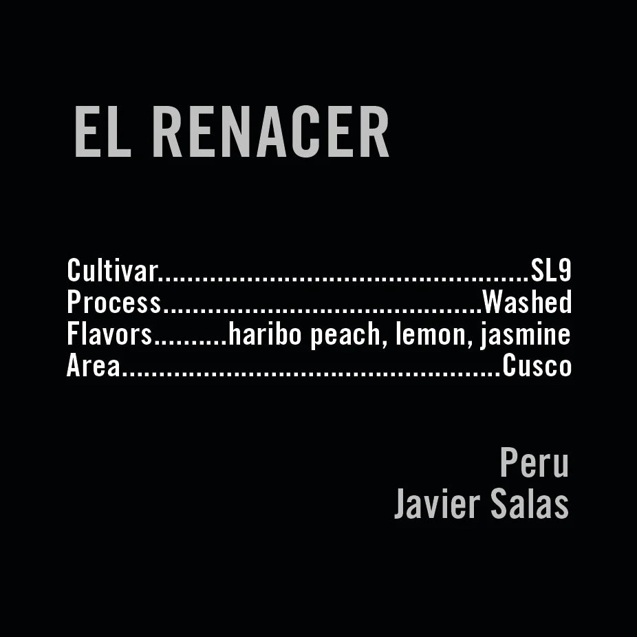 Apollon's Gold - El Renacer SL9 | Peru