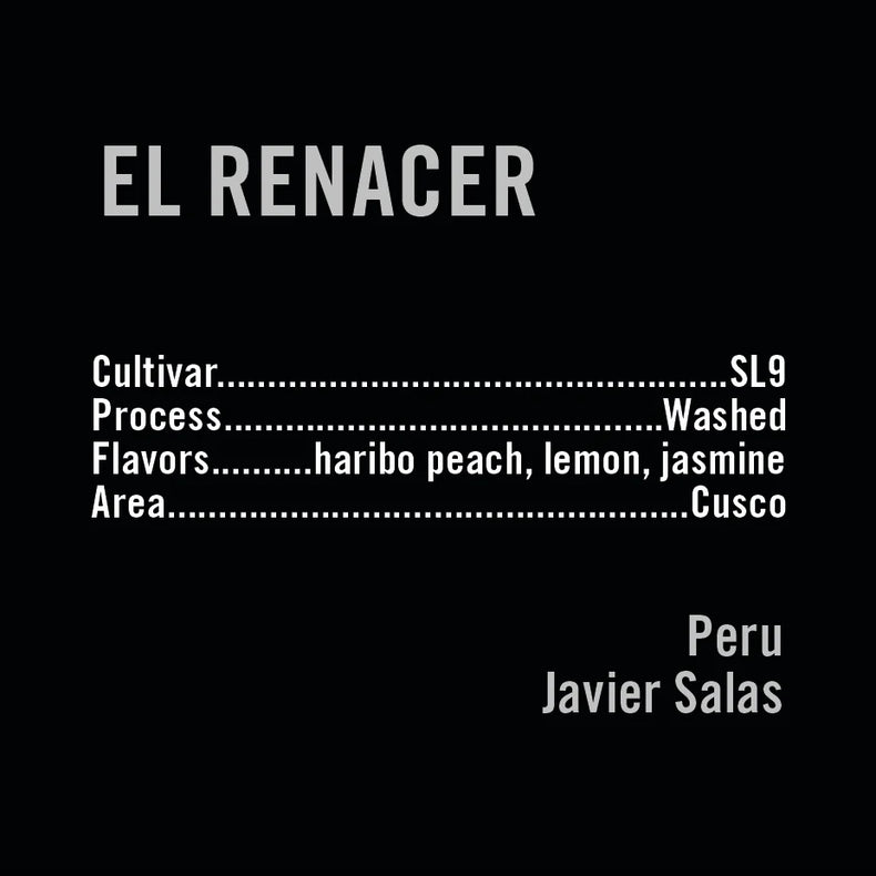 Apollon's Gold - El Renacer SL9 | Peru