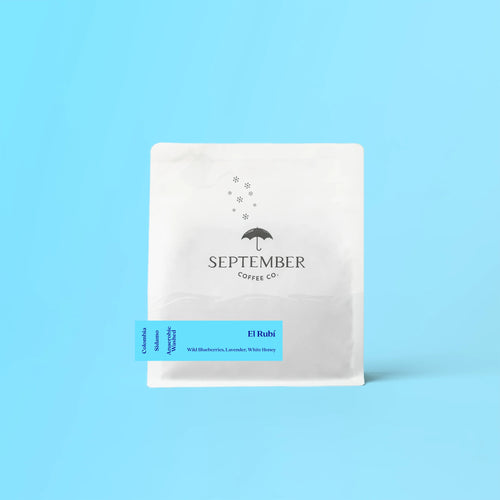September - El Rubi Sidamo | Colombia