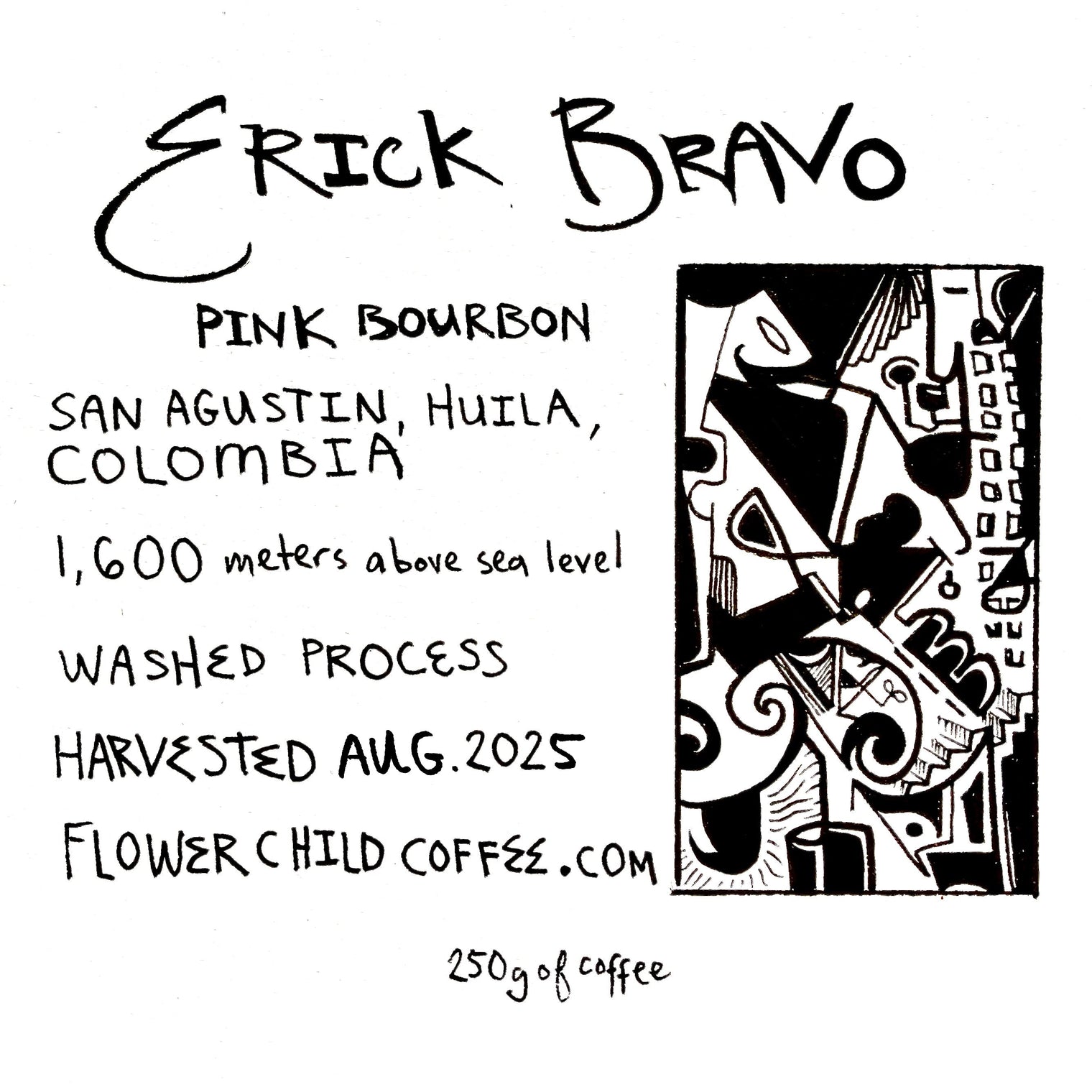 Flower Child - Erick Bravo - El Chaferote Washed Pink Bourbon | Colombia - Sigma Coffee UK