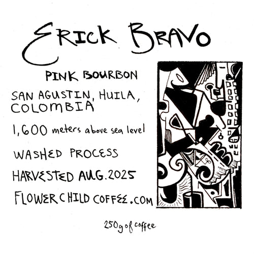 Flower Child - Erick Bravo - El Chaferote Washed Pink Bourbon | Colombia - Sigma Coffee UK