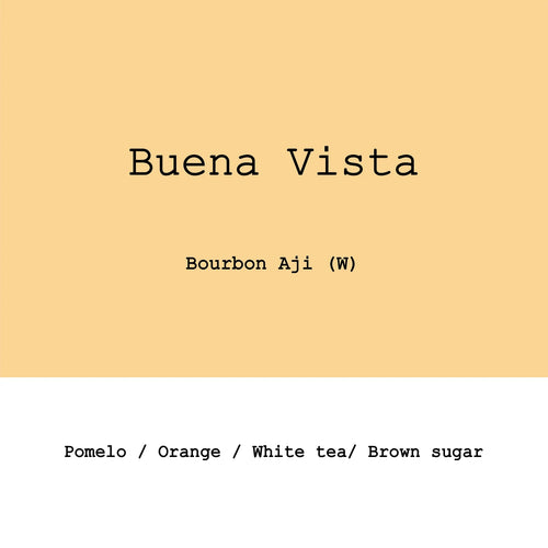 Goût & Co - Colombia Buena Vista, Sambony - Bourbon Aji Washed