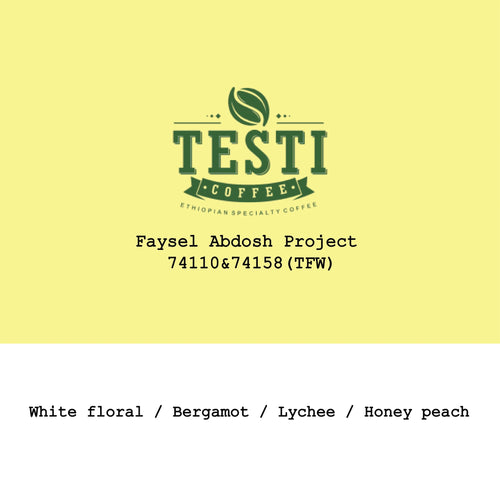 Goût & Co - 2026 New Crop Ethiopia Faysel Abdosh Project 74110&74158 Triple Fermentation Washed