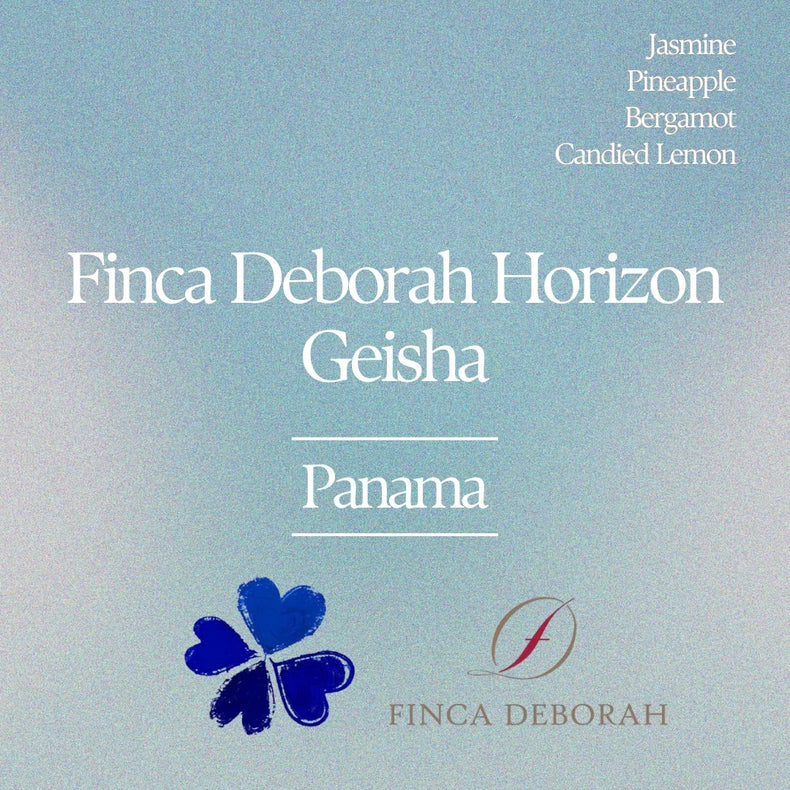 Klover - Finca Deborah Horizon Geisha Hybrid Washed | Panama