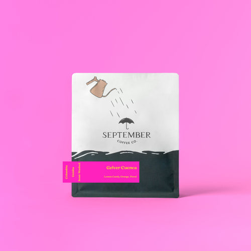September - Gelver Cuenca Semi-Washed Gesha | Colombia