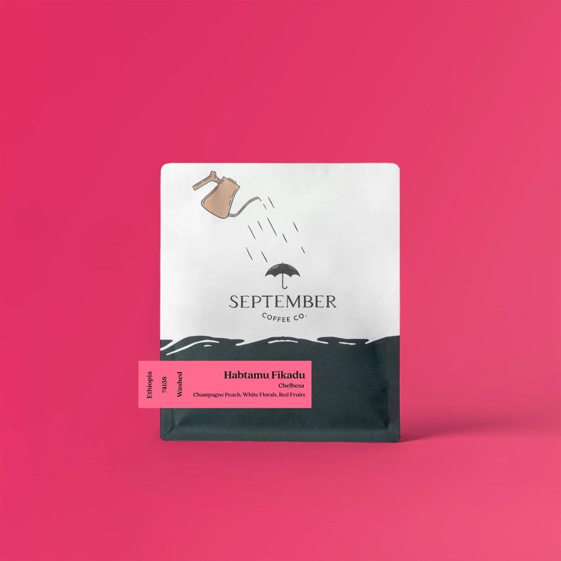 September Coffee Co. - Habtamu Fikadu Chelbesa Washed | Ethiopia