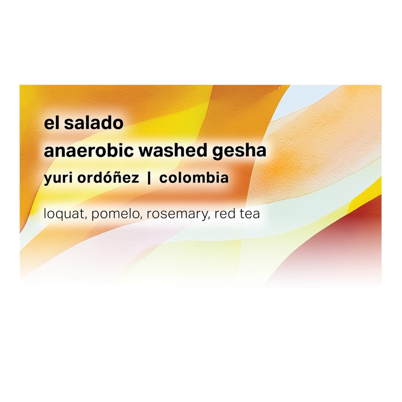 Moonwake Coffee Roasters - El Salado - Yuri Ordóñez - Anaerobic Washed Gesha | Colombia