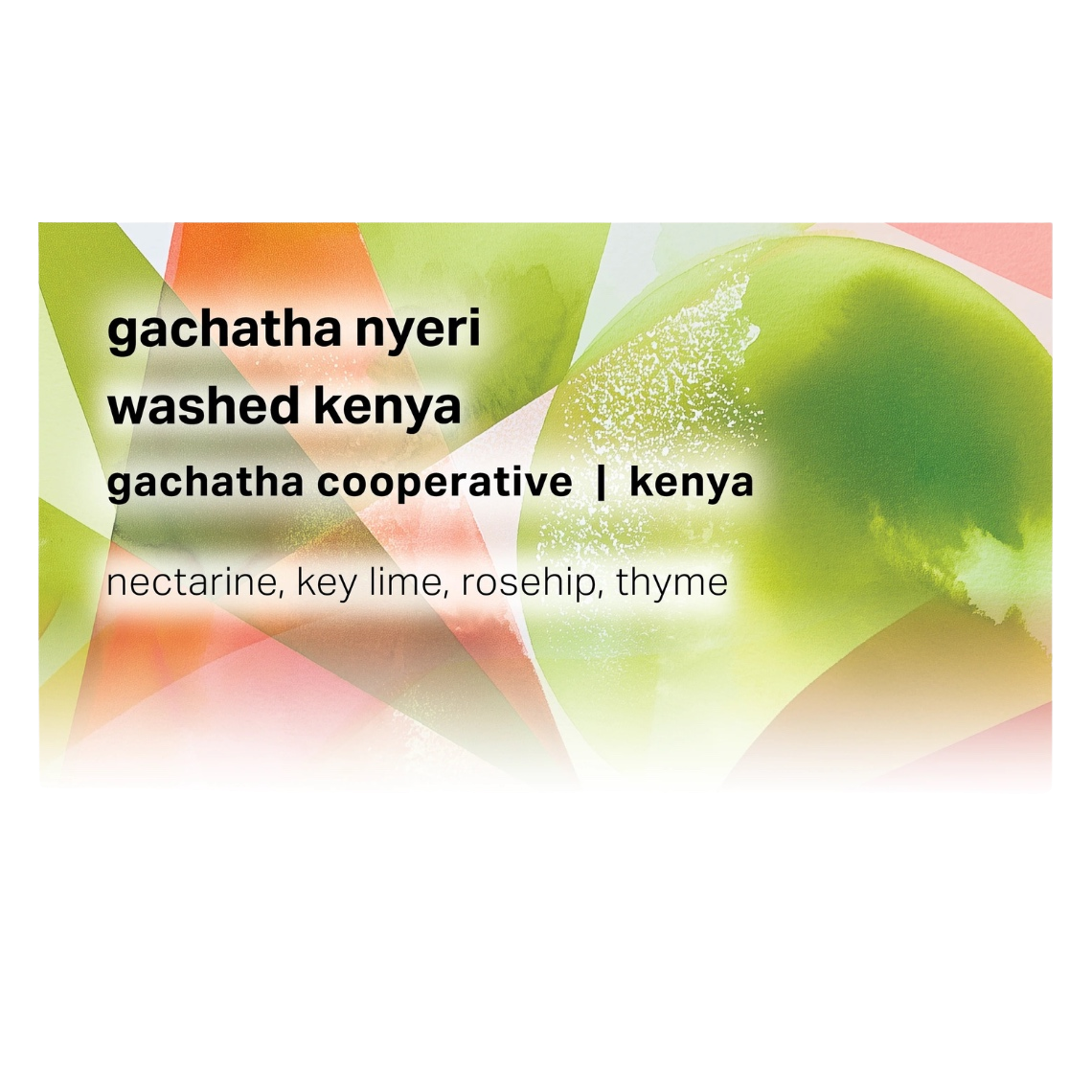 Moonwake Coffee Roasters - Gachatha Nyeri - Gachatha Cooperative - Washed Kenya | Kenya