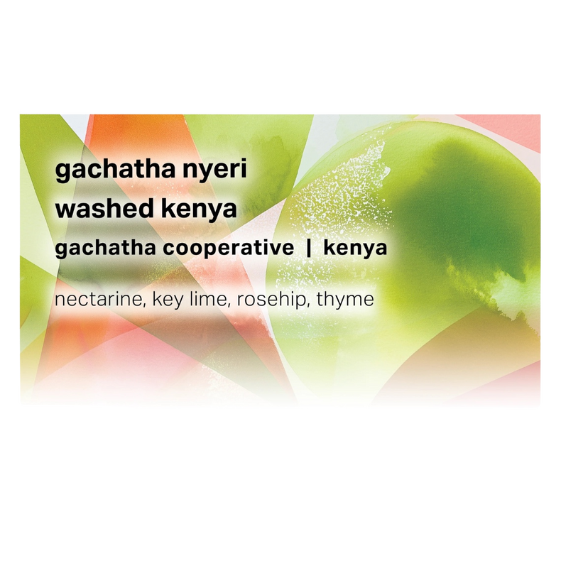 Moonwake Coffee Roasters - Gachatha Nyeri - Gachatha Cooperative - Washed Kenya | Kenya