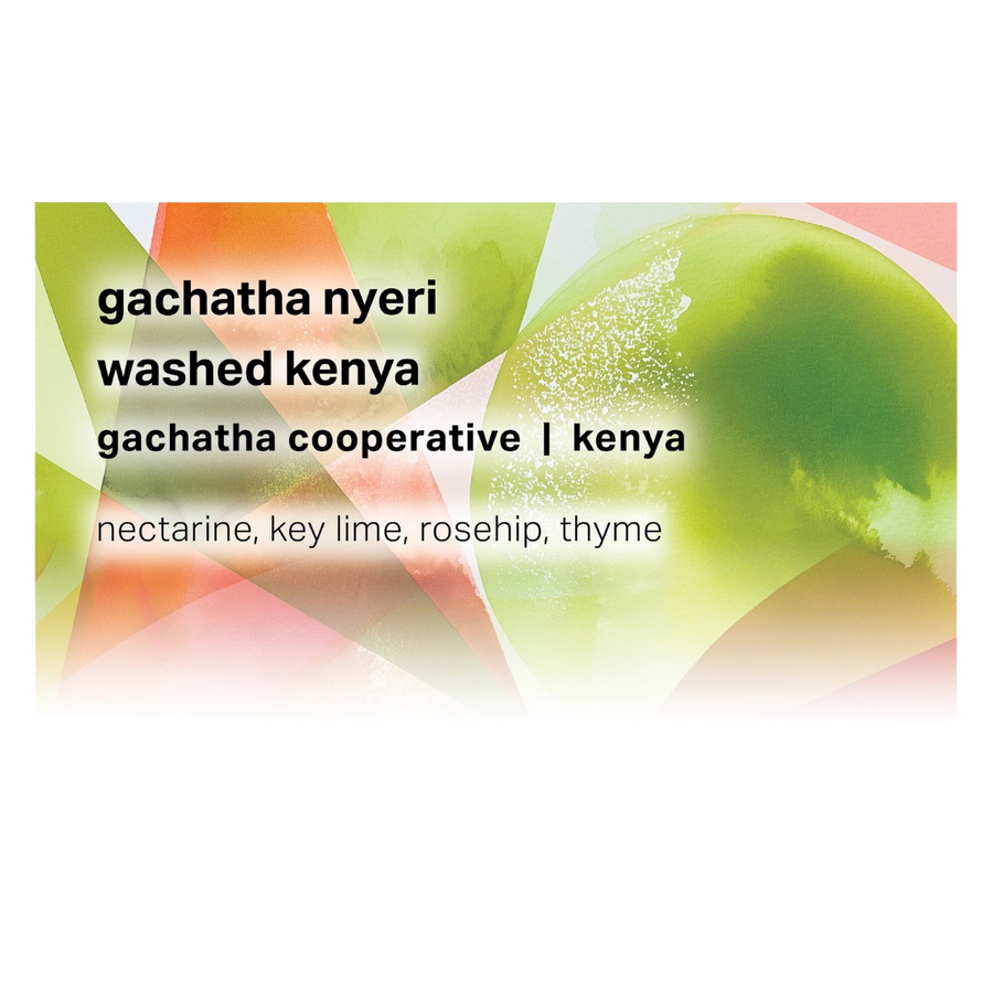 Moonwake Coffee Roasters - Gachatha Nyeri - Gachatha Cooperative - Washed Kenya | Kenya