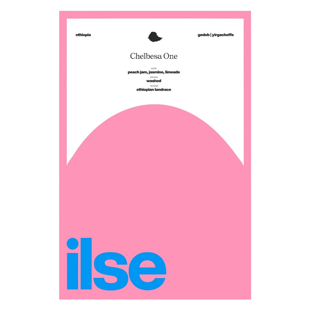 Ilse Coffee - Chelbesa One Washed Kurume & Wollisho | Ethiopia
