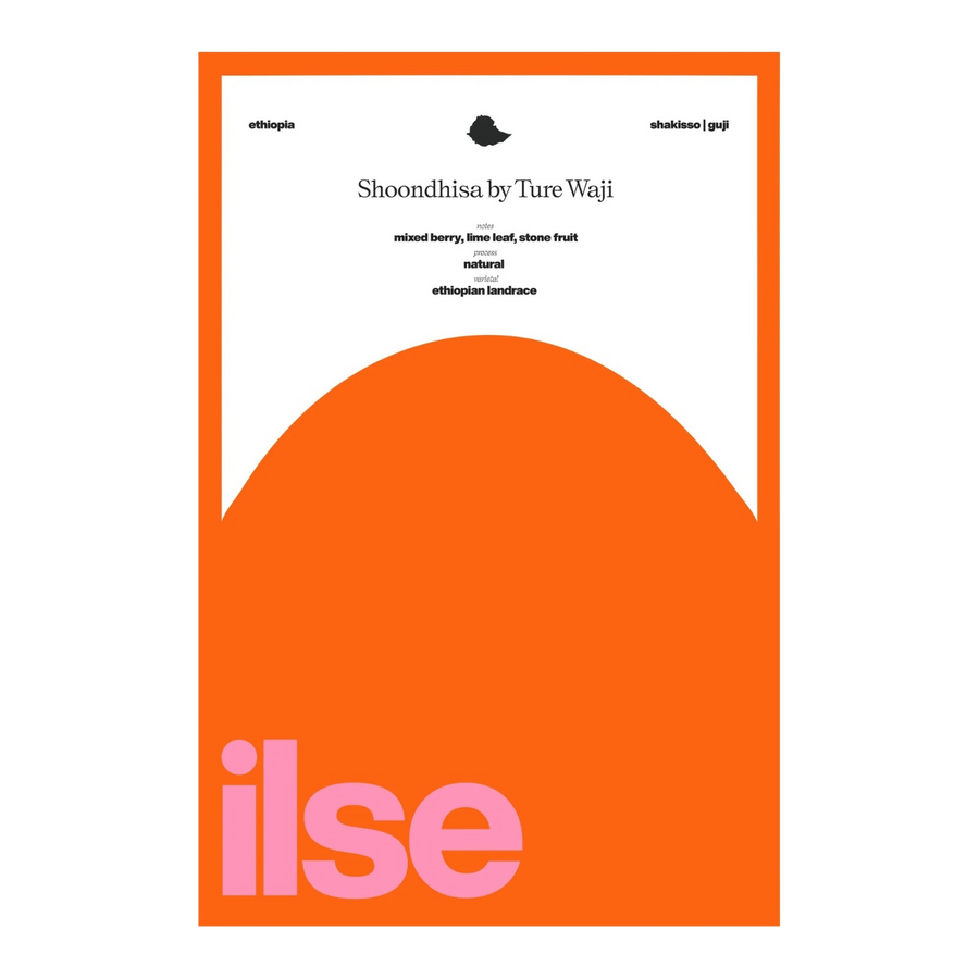 Ilse Coffee - Shoondhisa 74110 & 74112 Natural | Ethiopia