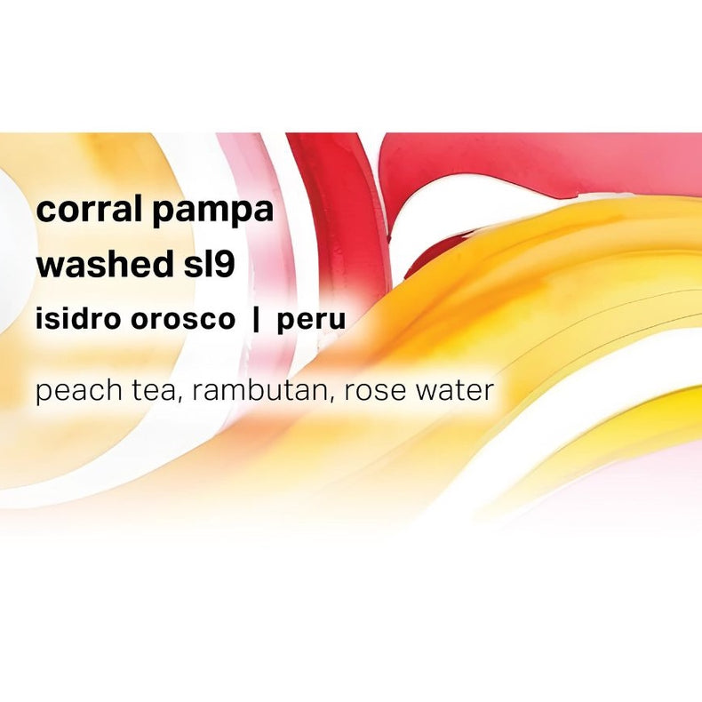 Moonwake Coffee Roasters - Corral Pampa - Isidro Orosco - Washed SL9