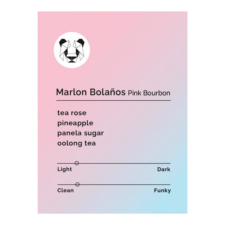 Black & White Roasters - Marlon Bolaños - Pink Bourbon | Colombia