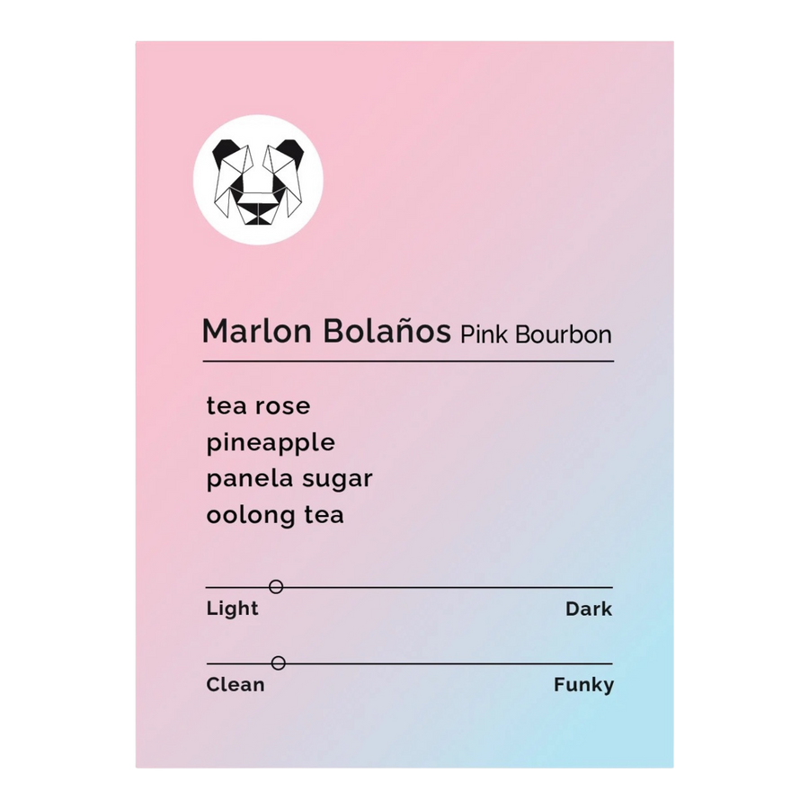 Black & White Roasters - Marlon Bolaños - Pink Bourbon | Colombia
