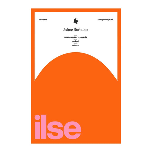 Ilse Coffee - Jaime Burbano | Colombia