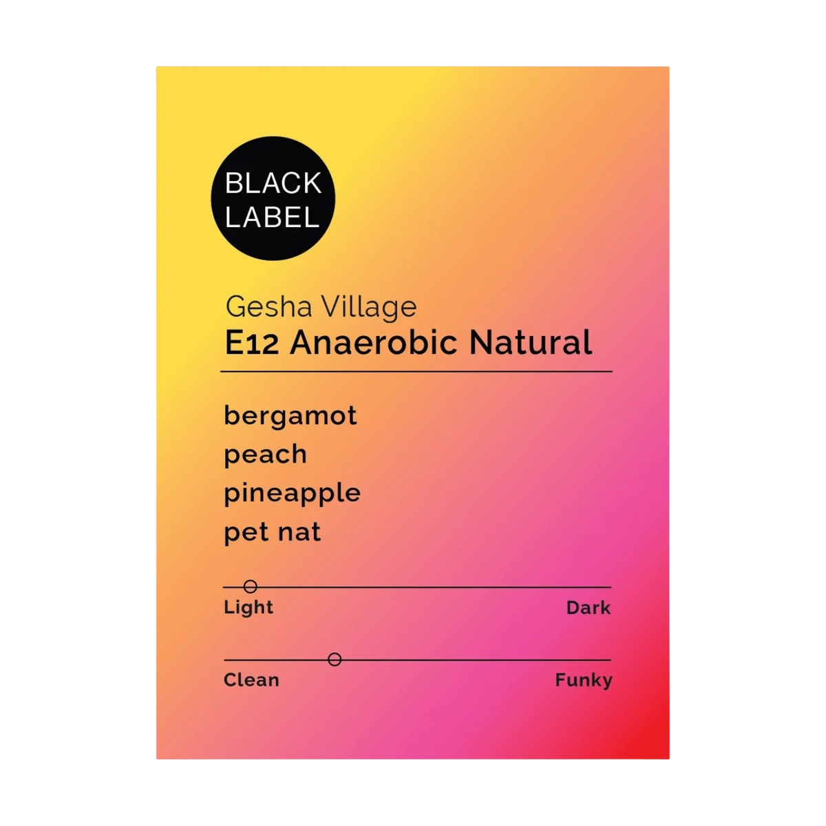 Black & White Roasters - Gesha Village Lot E12 Anaerobic Natural | Ethiopia
