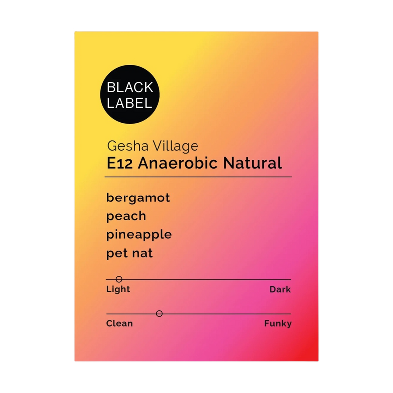 Black & White Roasters - Gesha Village Lot E12 Anaerobic Natural | Ethiopia
