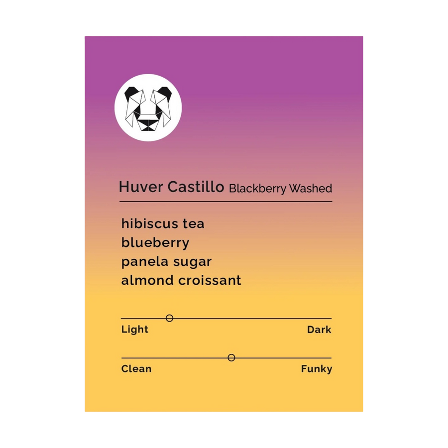 Black & White Roasters - Huver Castillo - Blackberry Washed | Colombia