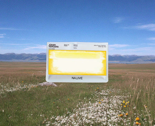 Native - Johan Vergara, Finca Las Flores - Washed Gesha