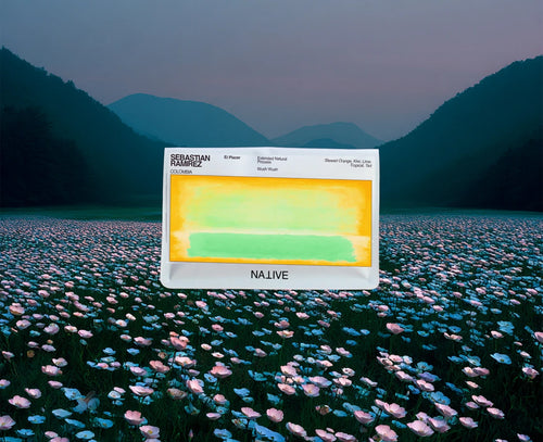 Native - Sebastian Ramirez, El Placer - EF Natural Wush Wush