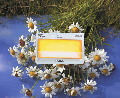 Native - Cesar Ledesma, Finca Betel - Honey Sudan Rume