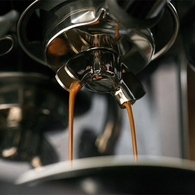 Sage Barista Touch Black Truffle Espresso Machine - Sigma Coffee UK