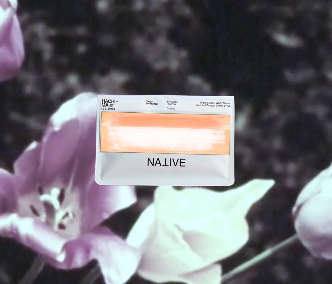 Native - Diego Bermudez | HACHI - Ma - Symbiotic Chiroso - (間)