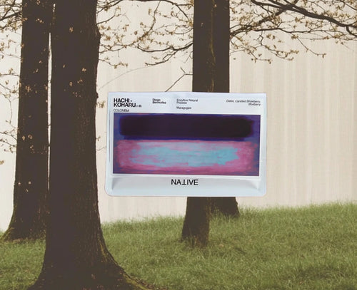 Native - HACHI - Koharu (小春) - Maragogipe 'Enzyflow' Natural