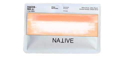 Native - Diego Bermudez | HACHI - Ma - Symbiotic Chiroso - (間)