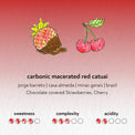 Sandbox - Carbonic Macerated Red Catuai | Brazil - Sigma Coffee UK