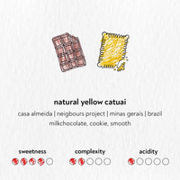 Sandbox - Natural Yellow Catuai | Brazil