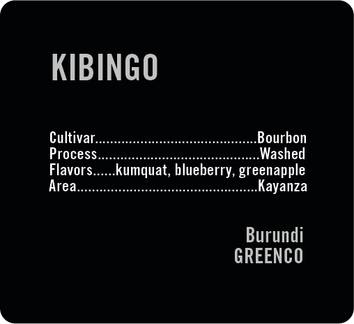 Apollon's Gold - Kibingo - Washed Bourbon | Burundi - Sigma Coffee UK