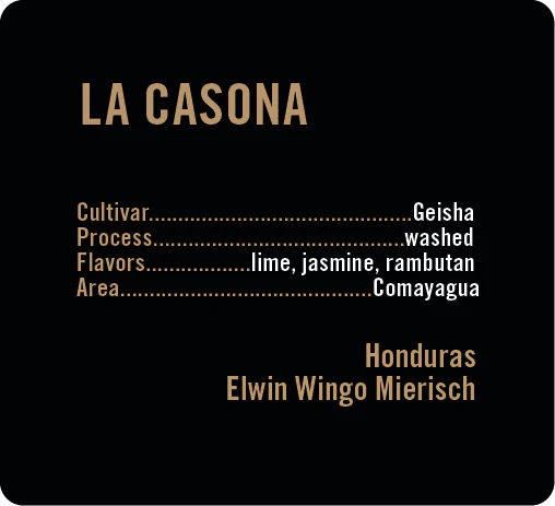 Apollon's Gold - La Casona - Washed Geisha | Honduras