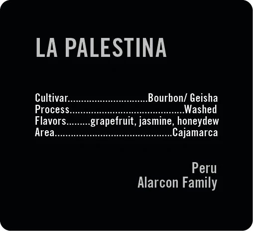 Apollon's Gold - La Palestina, Bourbon/Gesha, Washed | Peru